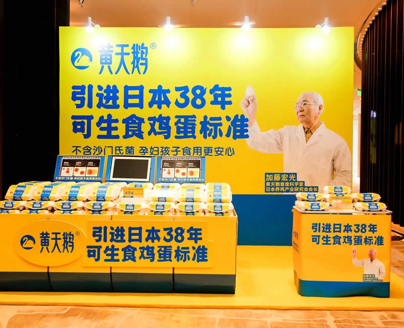 黃天鵝可生食雞蛋&大師小點(diǎn)蛋撻品牌包裝全案設(shè)計包裝設(shè)計案例 - 四喜設(shè)計作品